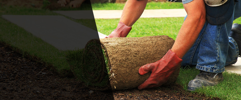 Fort Myers Landscapers